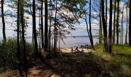 Photo #18 of West Side Lane, Powells Point, NC 225.7 acres