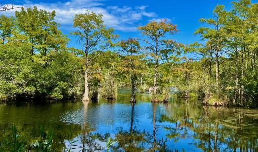 Photo #40 of West Side Lane, Powells Point, NC 225.7 acres