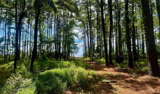 Photo #41 of West Side Lane, Powells Point, NC 225.7 acres