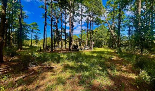 Photo #42 of West Side Lane, Powells Point, NC 225.7 acres