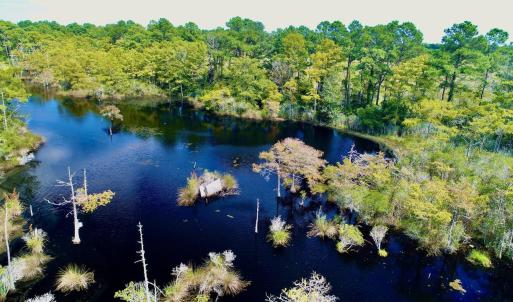 Photo #24 of West Side Lane, Powells Point, NC 225.7 acres