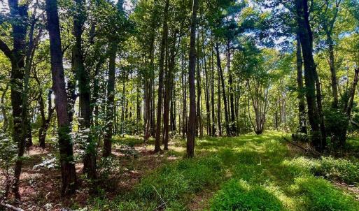 Photo #44 of West Side Lane, Powells Point, NC 225.7 acres
