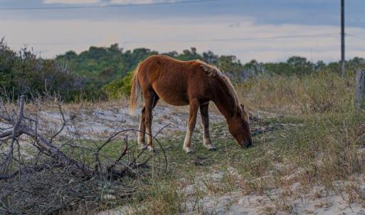 Photo #8 of 2353 Sandfiddler Road, Corolla, NC 0.6 acres