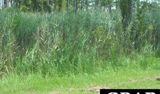 Photo #2 of 142 Bayview Drive, Stumpy Point, NC 5.1 acres