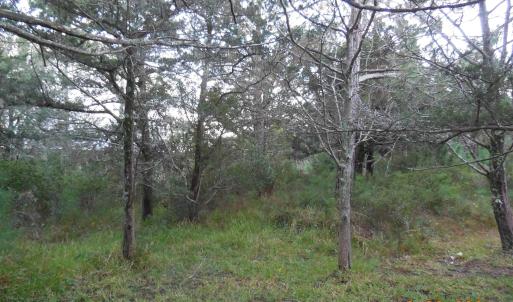 Photo #3 of TBD Sarah Ellen Drive, Ocracoke, NC 0.3 acres