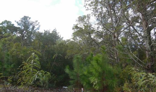 Photo #9 of TBD Sarah Ellen Drive, Ocracoke, NC 0.3 acres