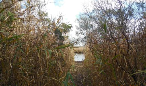 Entry for kayak Access