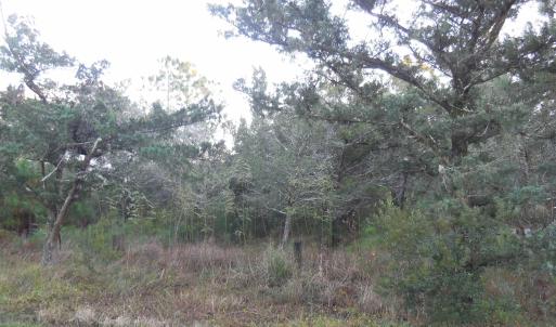 View from side of lot