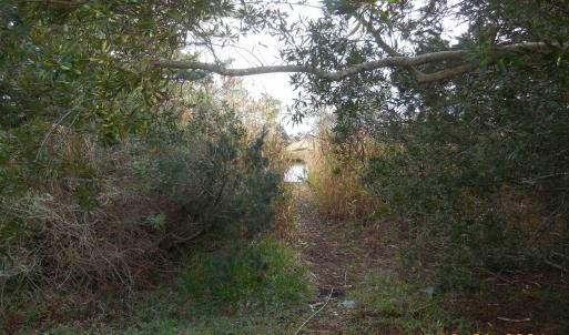 Deeded kayak access @ end of road