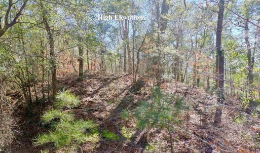 Photo #4 of Kitty Hawk Road, Kitty Hawk, NC