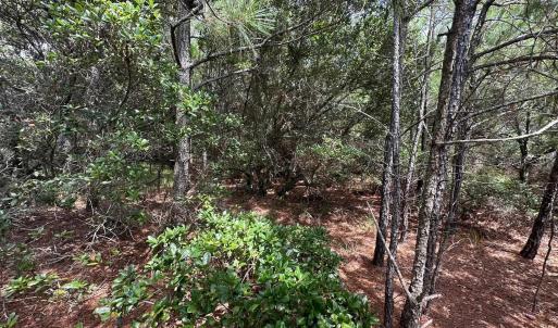 Photo #7 of 1975 Ocean Pearl Road, Corolla, NC