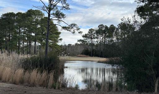 BACK CORNER POND VIEW