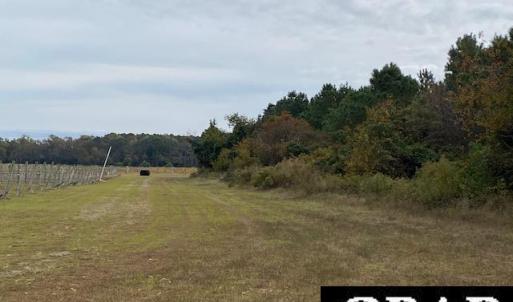 Photo #8 of Fisher Landing Road, Jarvisburg, NC 57.0 acres