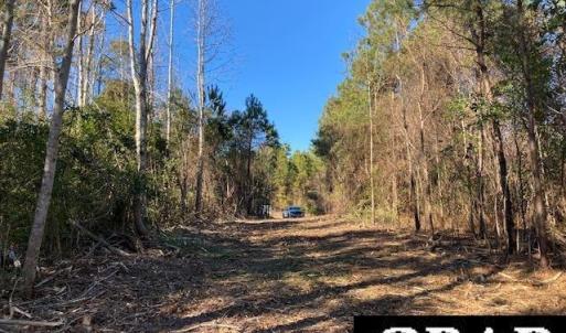 Photo #12 of Fisher Landing Road, Jarvisburg, NC 57.0 acres