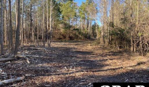 Photo #13 of Fisher Landing Road, Jarvisburg, NC 57.0 acres
