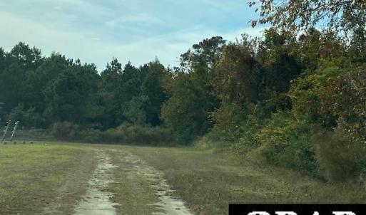 Photo #9 of Fisher Landing Road, Jarvisburg, NC 57.0 acres