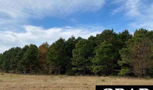Photo #10 of Fisher Landing Road, Jarvisburg, NC 57.0 acres