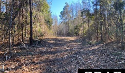 Photo #7 of Fisher Landing Road, Jarvisburg, NC 57.0 acres