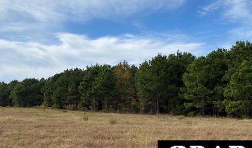 Photo #11 of Fisher Landing Road, Jarvisburg, NC 57.0 acres