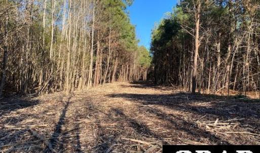 Photo #14 of Fisher Landing Road, Jarvisburg, NC 57.0 acres