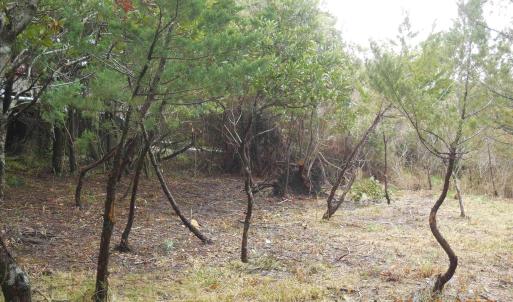 Photo #1 of TBD Central Drive, Ocracoke, NC 0.2 acres
