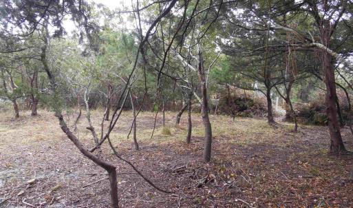 Photo #2 of TBD Central Drive, Ocracoke, NC 0.2 acres