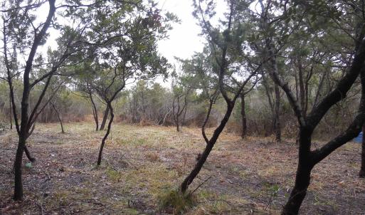 Photo #4 of TBD Central Drive, Ocracoke, NC 0.2 acres
