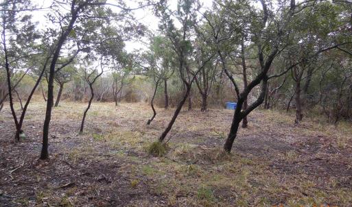 Photo #3 of TBD Central Drive, Ocracoke, NC 0.2 acres