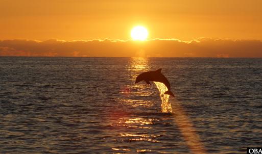 Photo #10 of Lot 14 Carolina Cays, Manteo, NC 10.0 acres