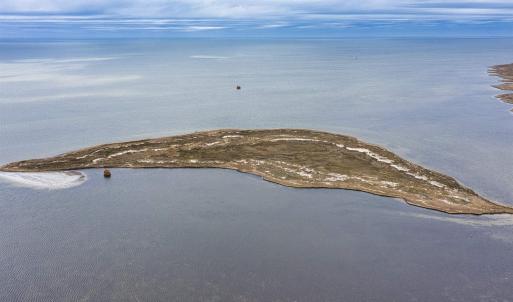 Photo #4 of Island, Salvo, NC 8.7 acres