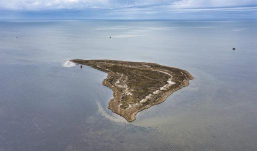 Photo #3 of Island, Salvo, NC 8.7 acres