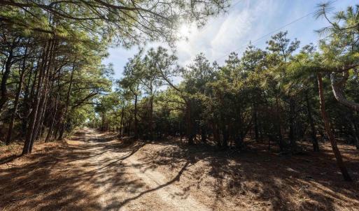 Photo #5 of 2336 Sandpiper Road, Corolla, NC
