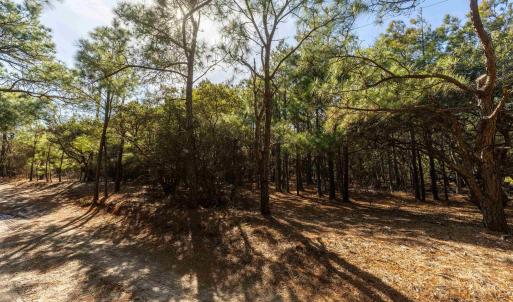 Photo #4 of 2336 Sandpiper Road, Corolla, NC