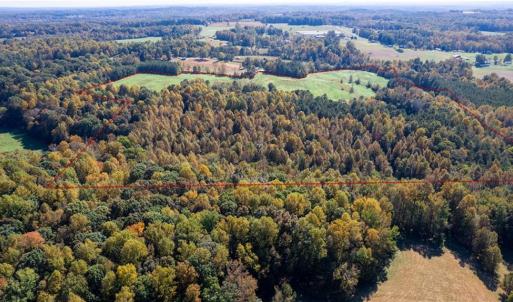 Photo #6 of 3001 Headen Country, Staley, NC 69.5 acres
