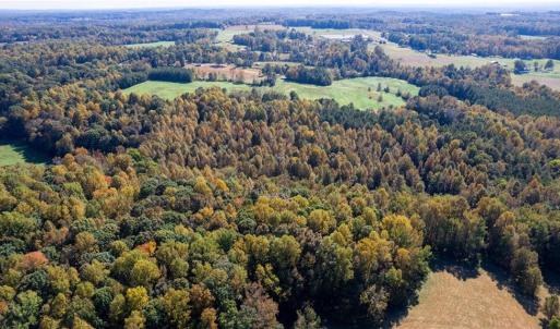 Photo #3 of 3001 Headen Country, Staley, NC 69.5 acres