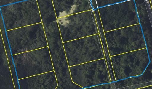 Blue lines are approximate lot lines