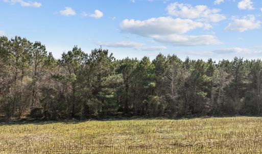 Photo #11 of 160 Shortcut Road, Barco, NC 7.5 acres