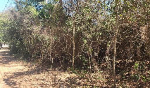 Photo #5 of Holly Ridge Road, Manteo, NC 1.0 acres