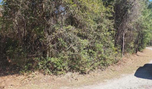 Photo #2 of Holly Ridge Road, Manteo, NC 1.0 acres