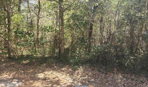 Photo #4 of Holly Ridge Road, Manteo, NC 1.0 acres