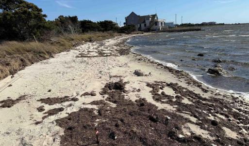Photo #2 of NC Highway 12, Waves, NC 1.1 acres