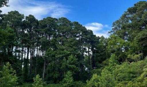 Photo #1 of 217 Cynthia Court, Harbinger, NC 0.9 acres
