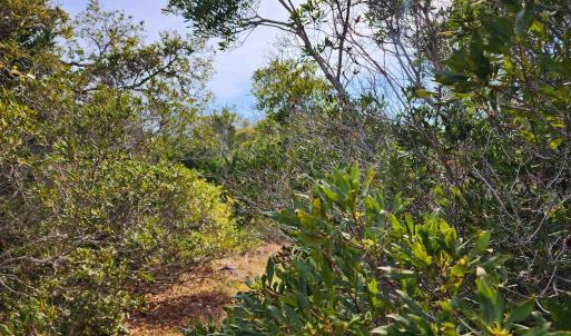 Photo #7 of 41192 Windlass Court, Avon, NC 3.7 acres