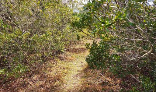 Photo #6 of 41192 Windlass Court, Avon, NC 3.7 acres
