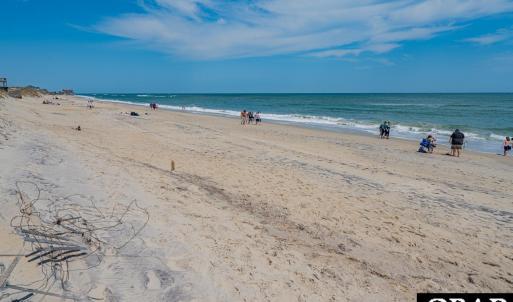 No Crowds Just Coast