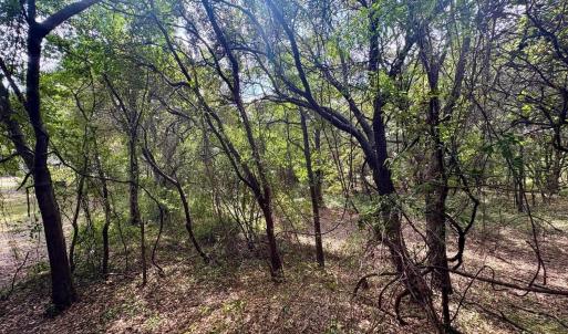 Photo #20 of 102 Sea Hawk Drive, Duck, NC 0.4 acres