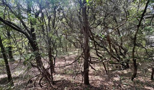 Photo #19 of 102 Sea Hawk Drive, Duck, NC 0.4 acres