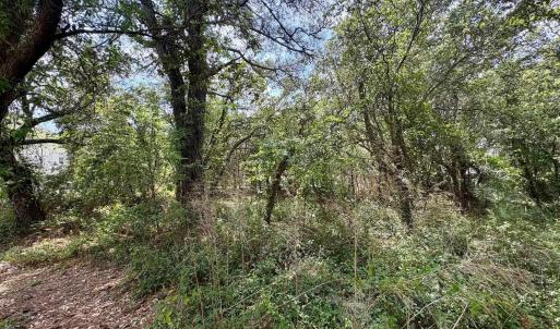 Photo #21 of 102 Sea Hawk Drive, Duck, NC 0.4 acres