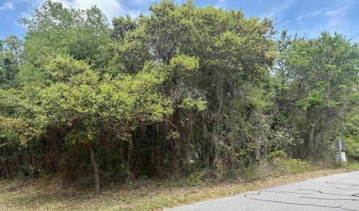 Photo #16 of 102 Sea Hawk Drive, Duck, NC 0.4 acres