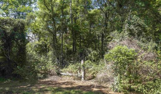 Photo #12 of 153 Bayberry Trail, Southern Shores, NC 0.5 acres